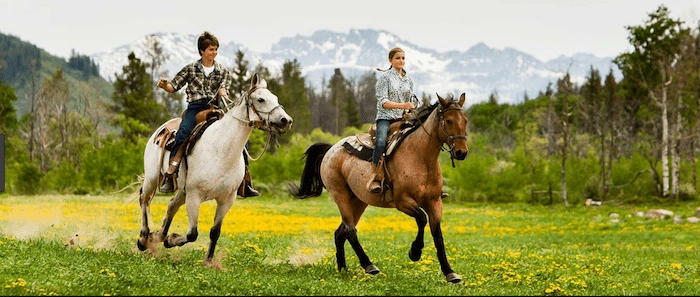 Confident plus-size woman riding Berkhamsted a horse through a field with a smile on her face.